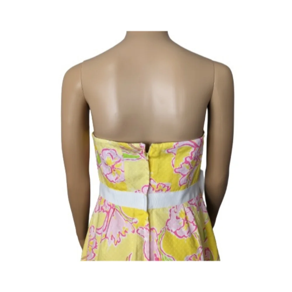 Lilly Pulitzer Amberly Dress 4 - Picture 9 of 12